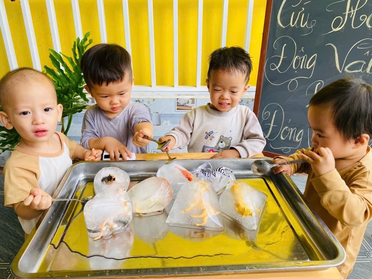 Ảnh hoạt động