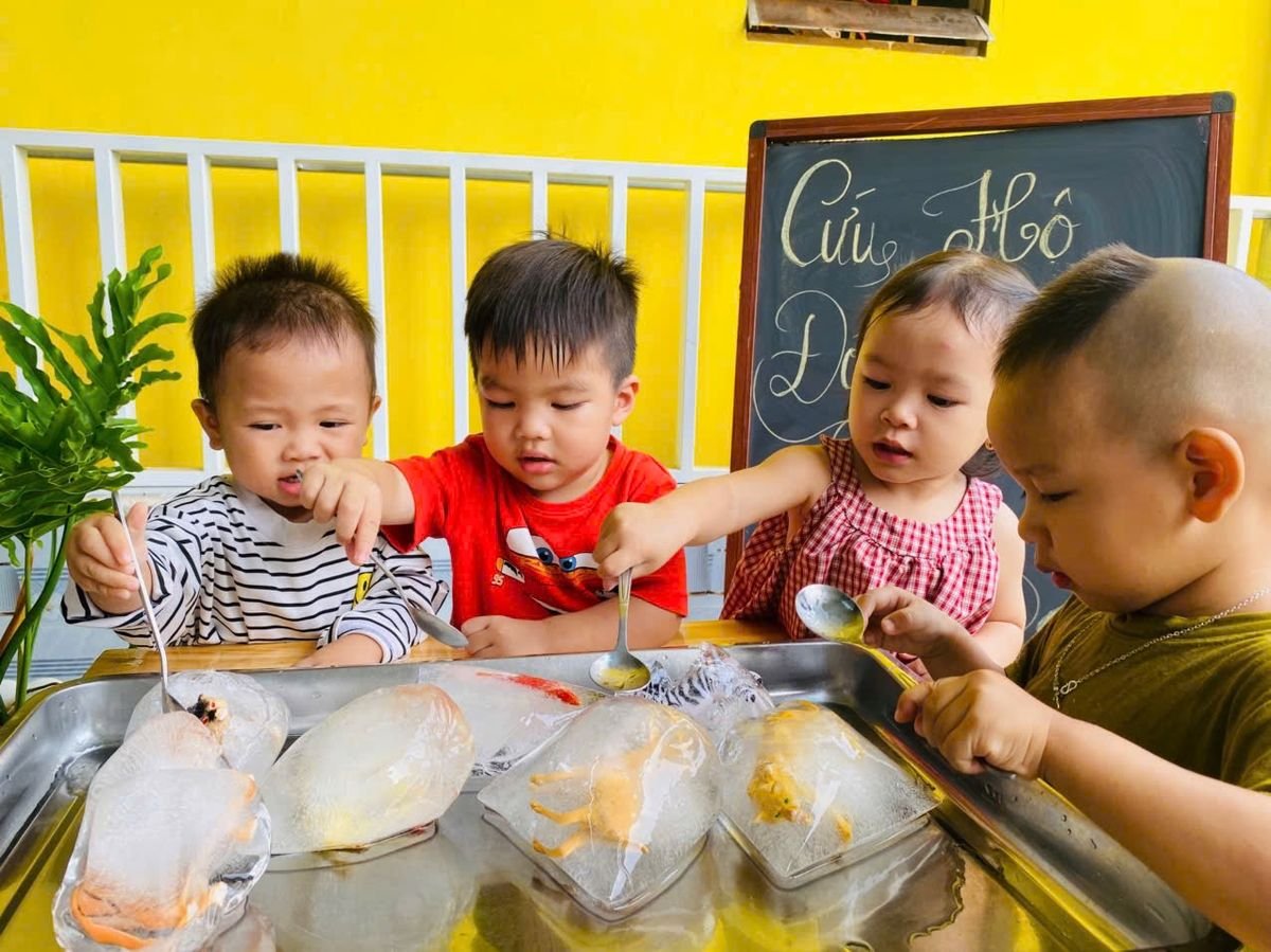 Ảnh hoạt động