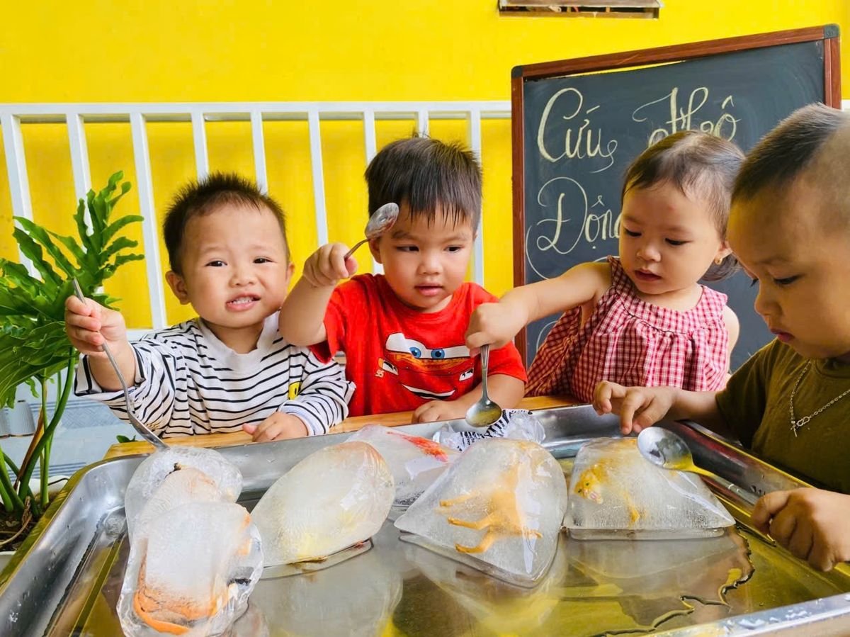 Ảnh hoạt động