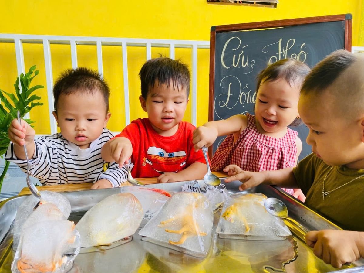 Ảnh hoạt động