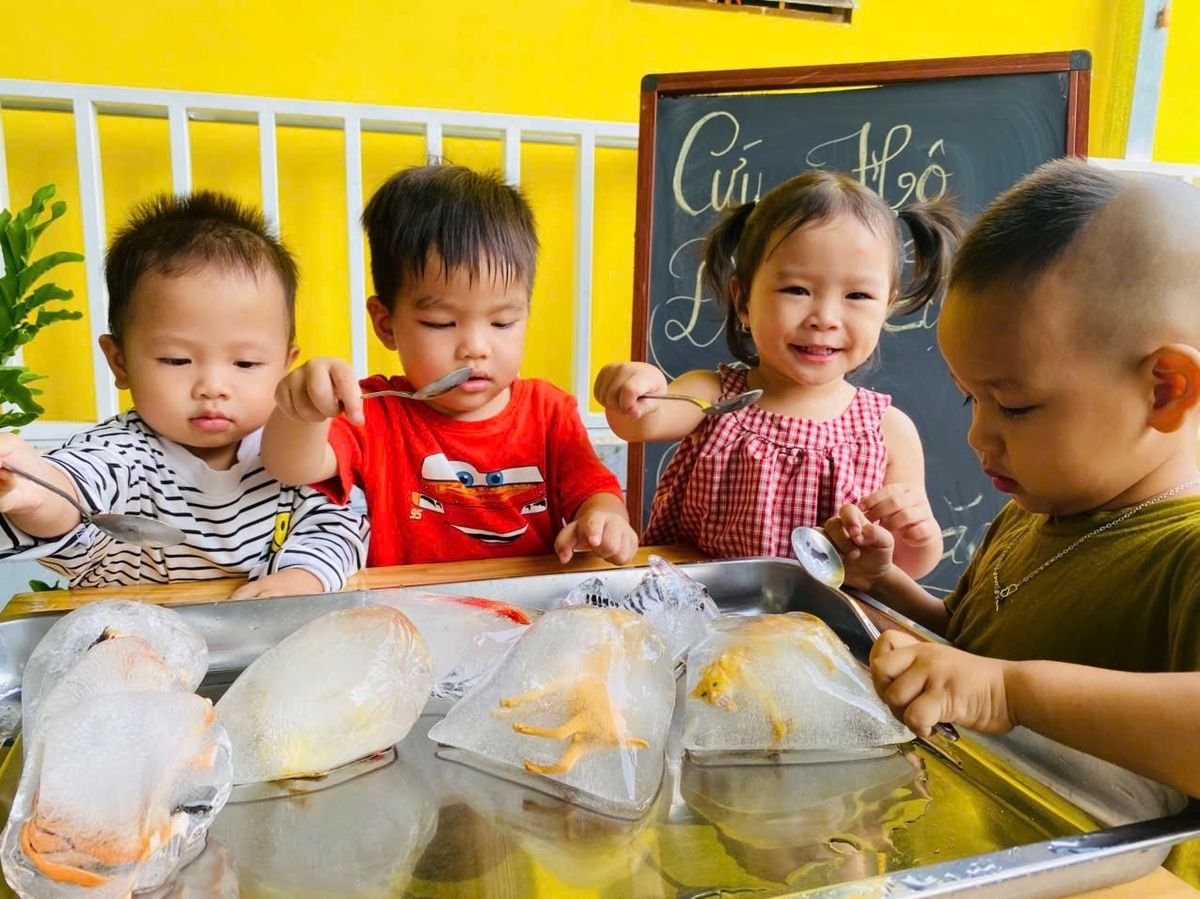 Ảnh hoạt động