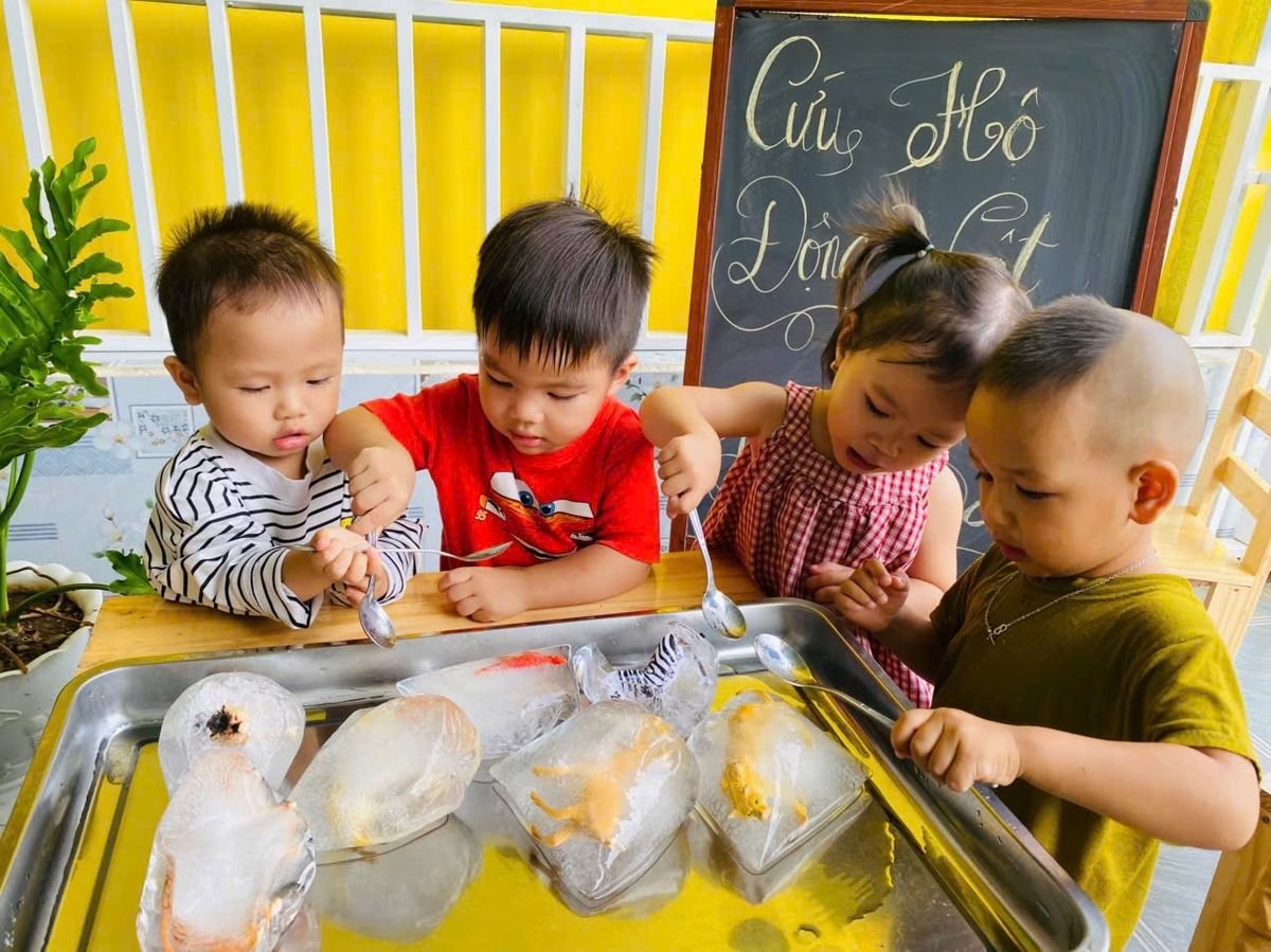 Ảnh hoạt động