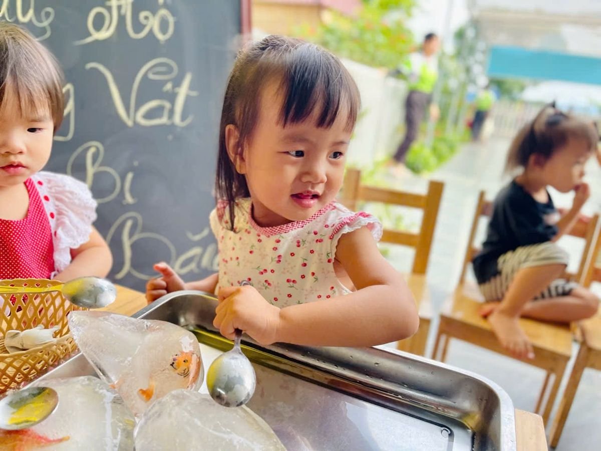 Ảnh hoạt động