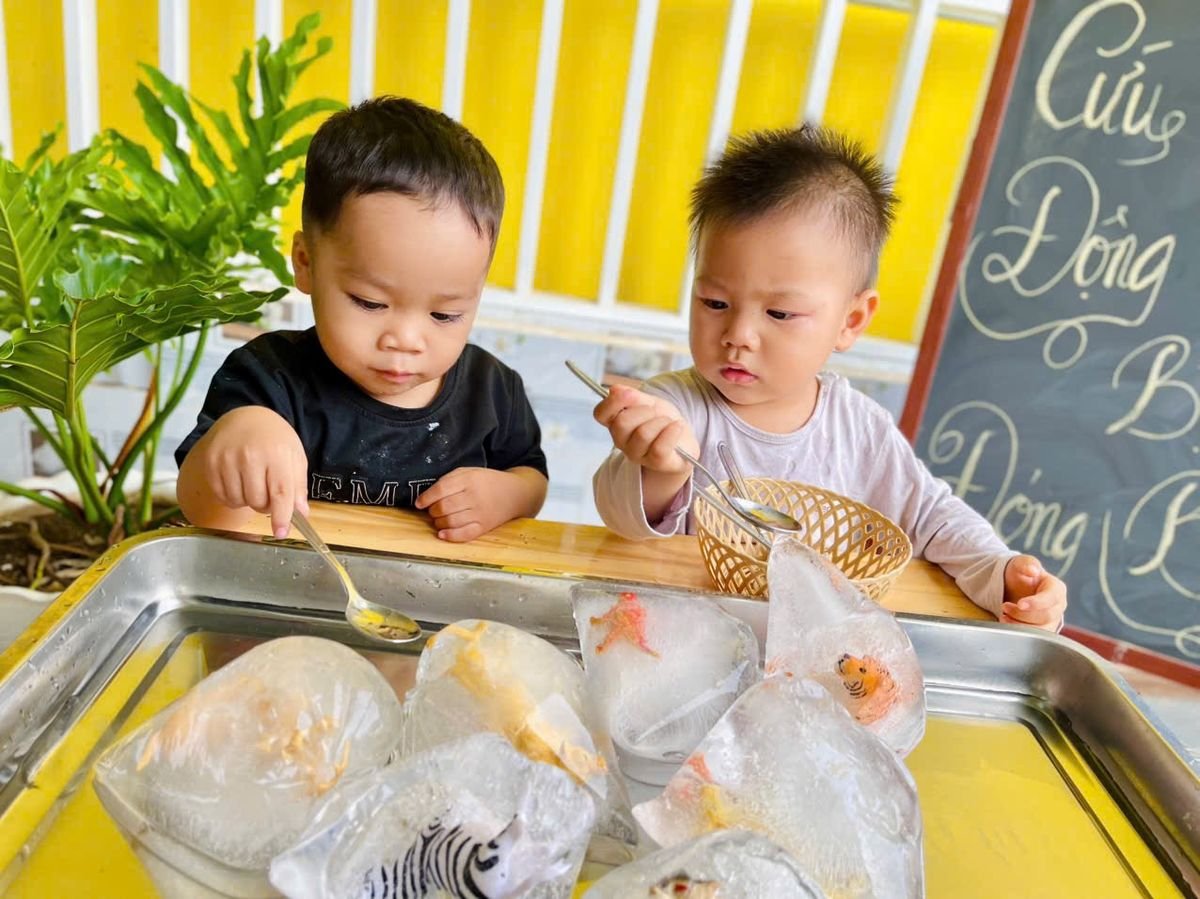 Ảnh hoạt động
