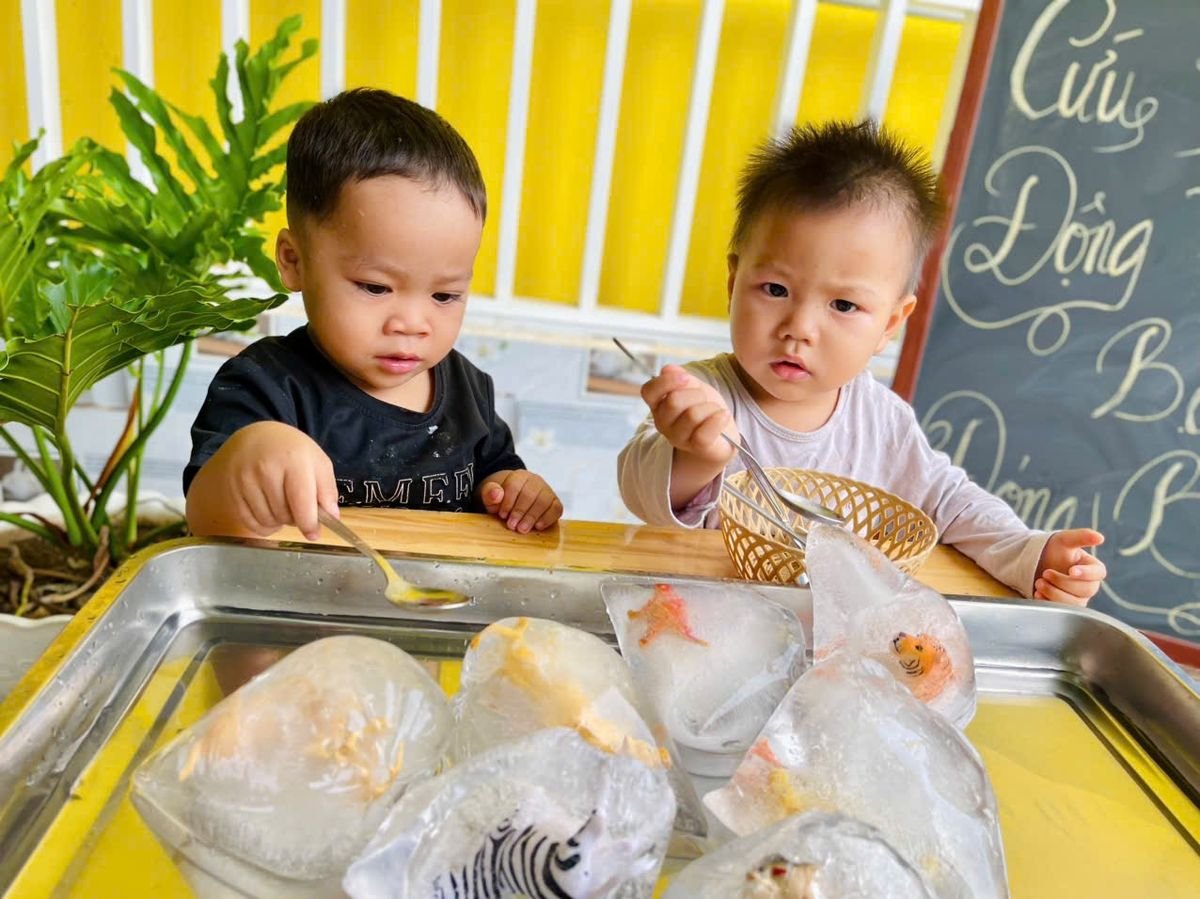 Ảnh hoạt động