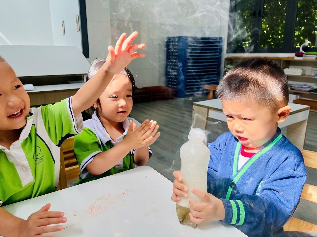 Ảnh hoạt động