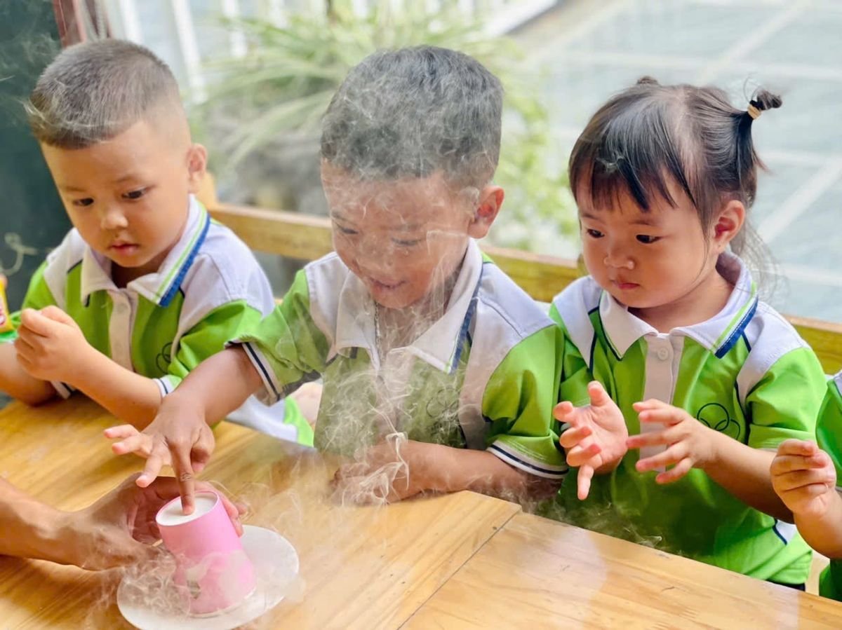 Ảnh hoạt động