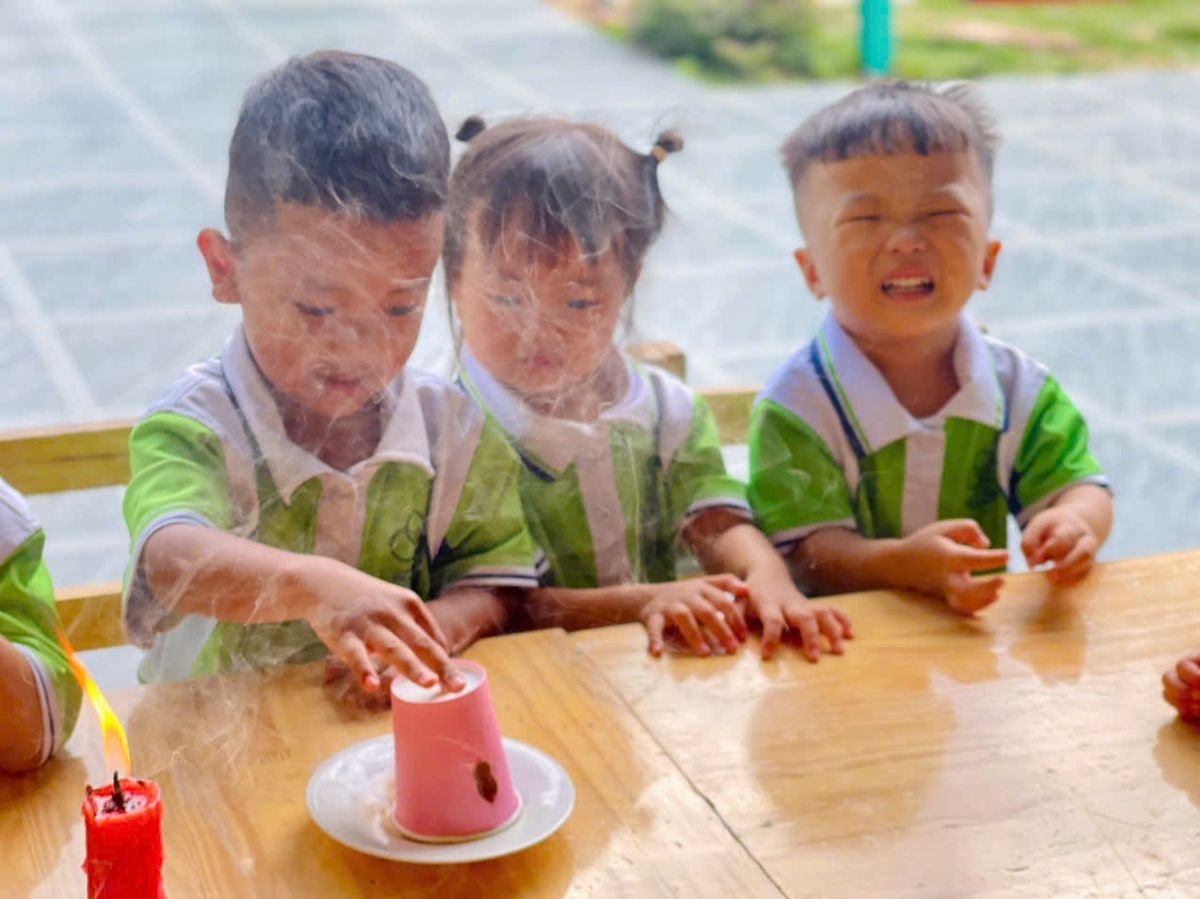 Ảnh hoạt động