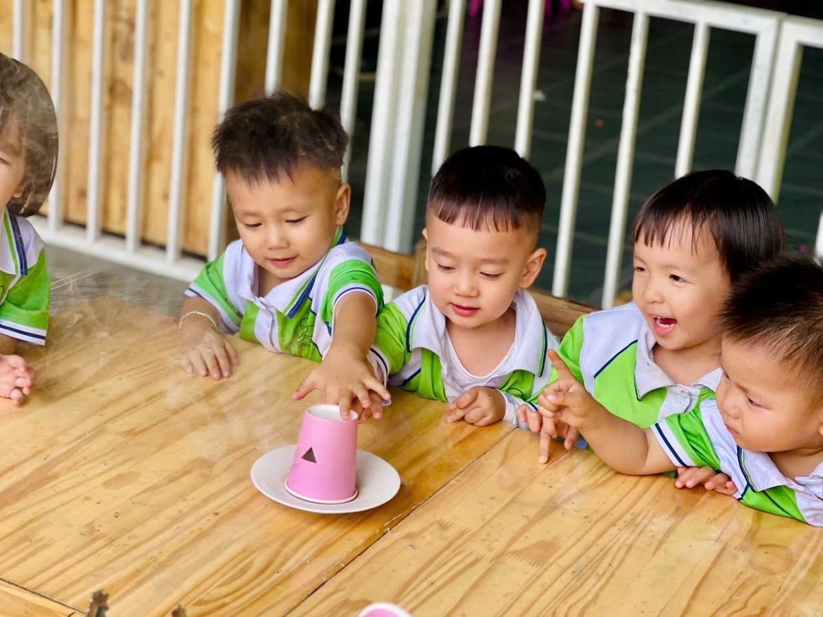 Ảnh hoạt động