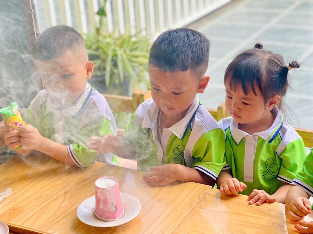 Ảnh hoạt động