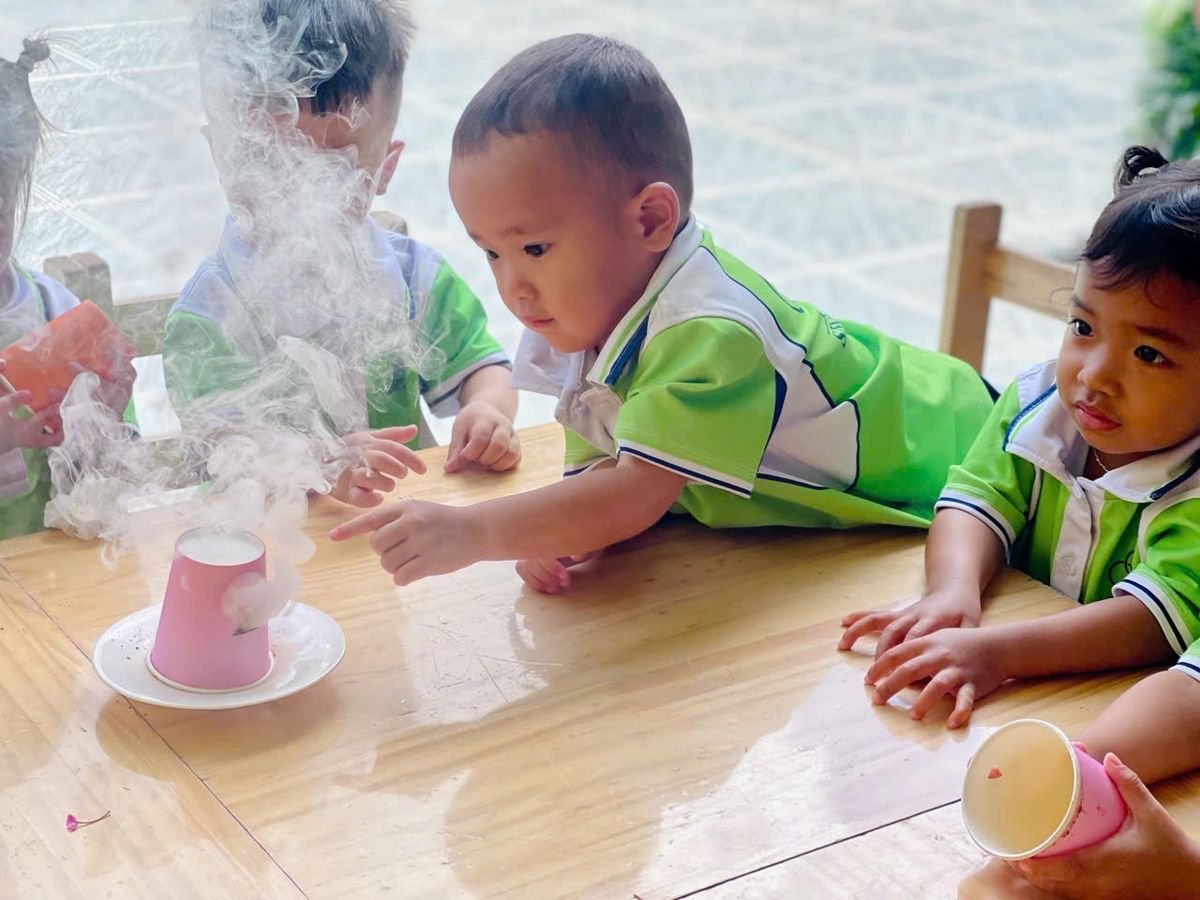 Ảnh hoạt động