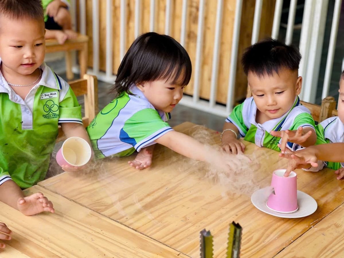 Ảnh hoạt động
