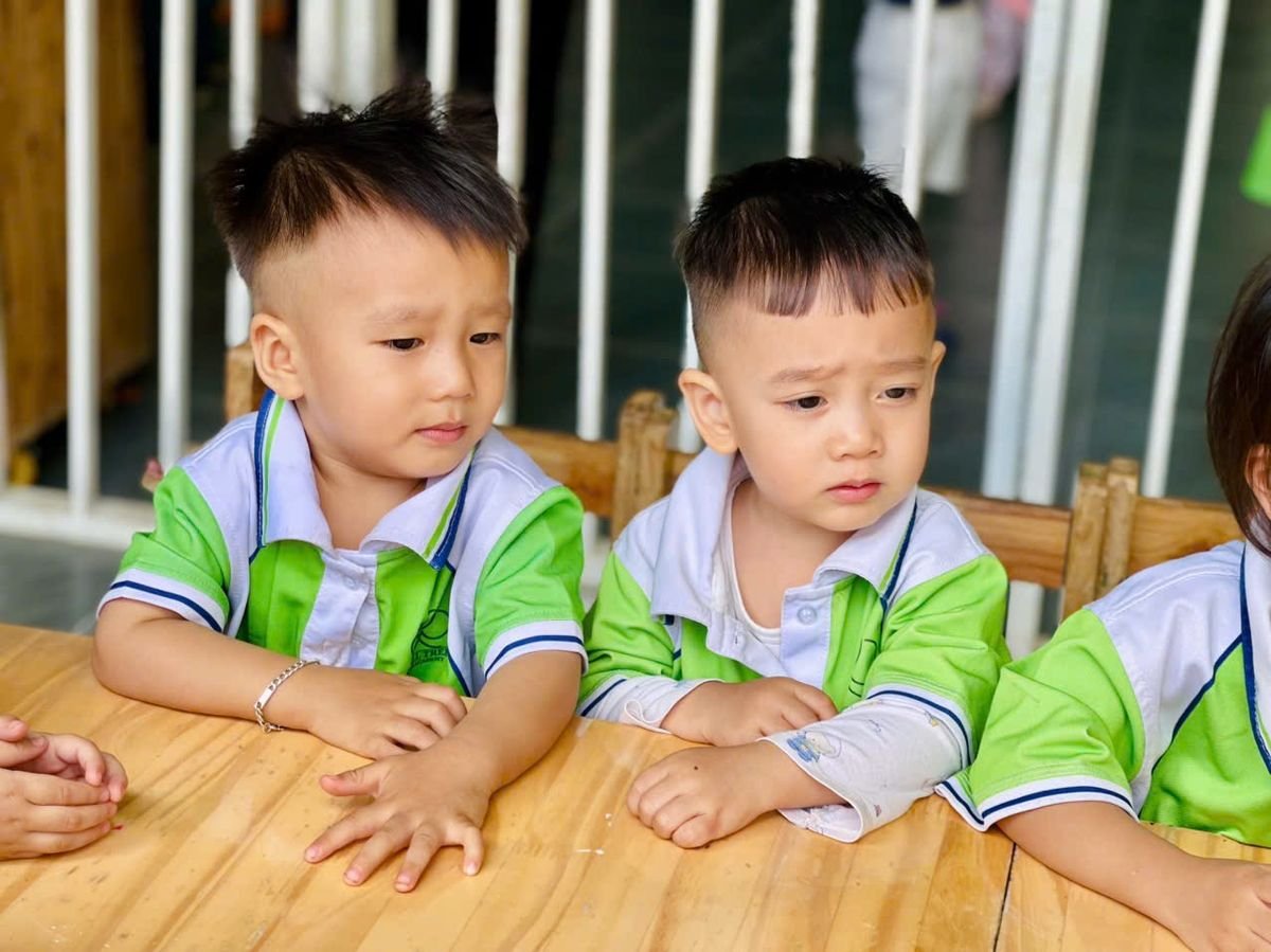 Ảnh hoạt động