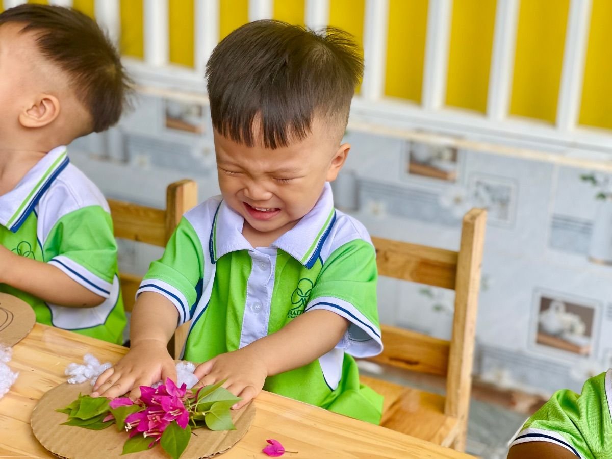 Ảnh hoạt động