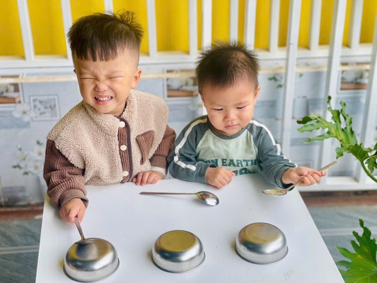Ảnh hoạt động