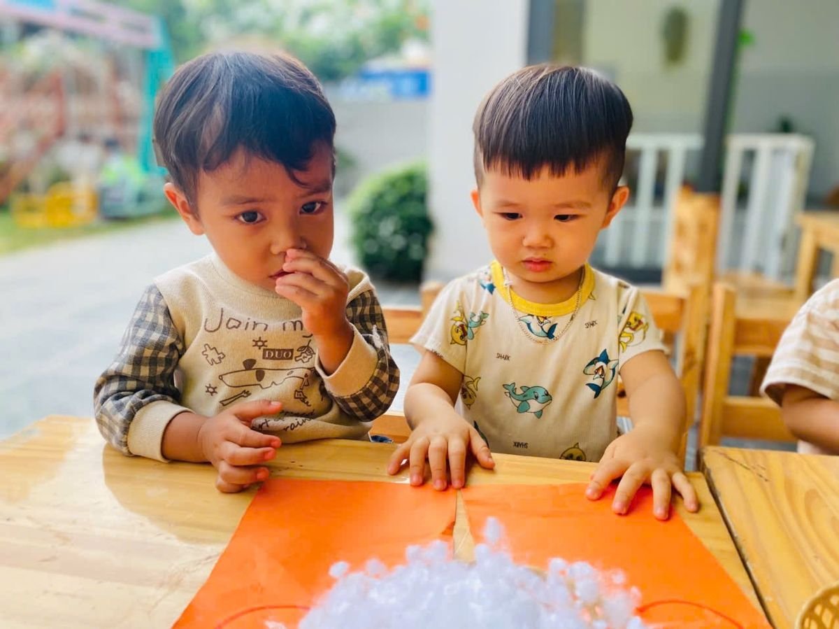Ảnh hoạt động