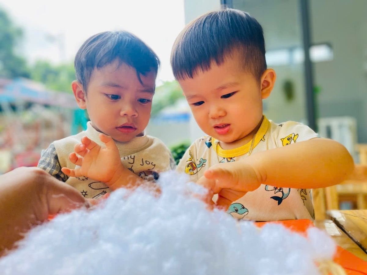 Ảnh hoạt động