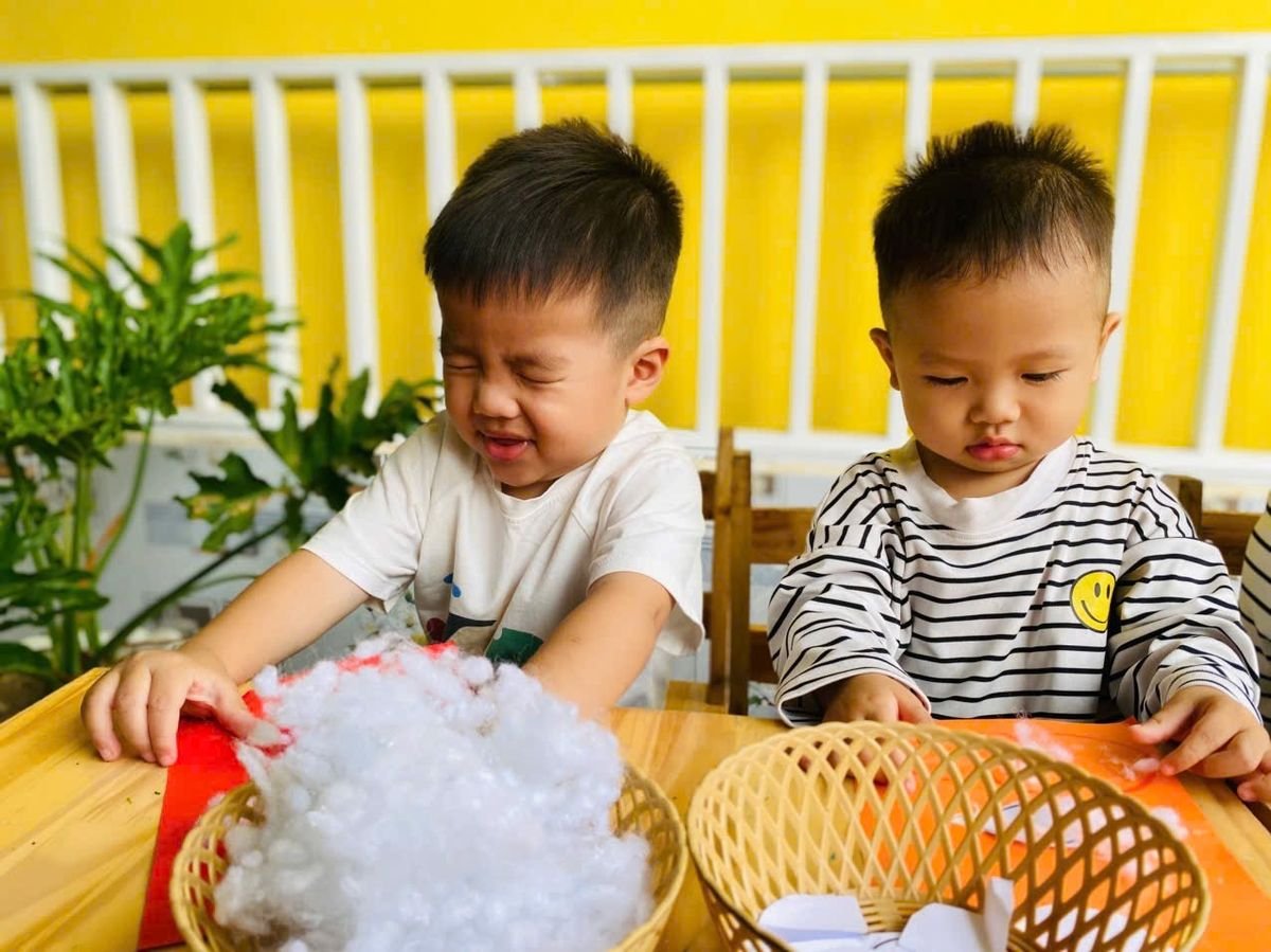 Ảnh hoạt động