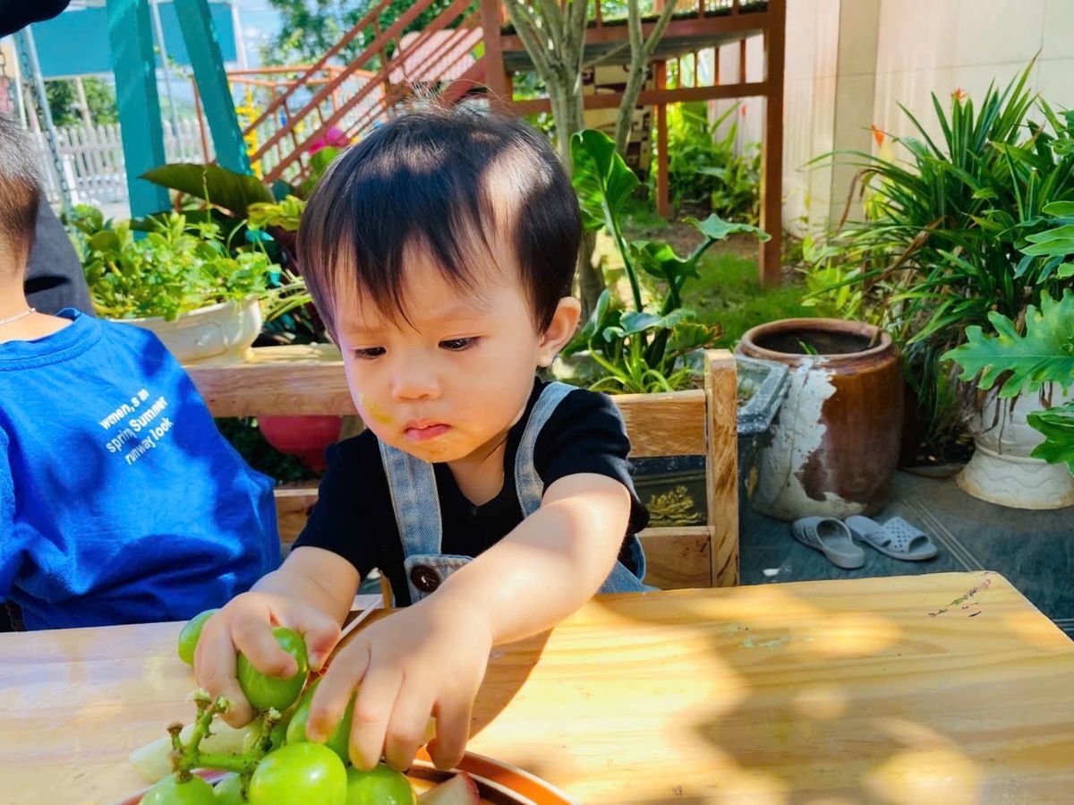 Ảnh hoạt động