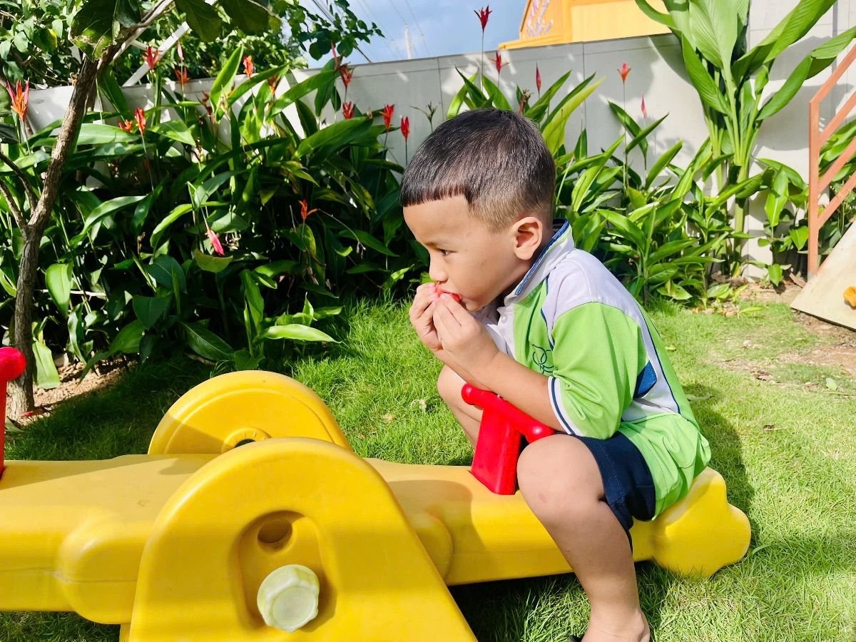 Ảnh hoạt động