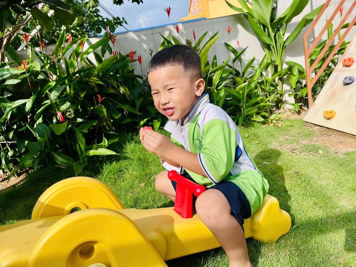 Ảnh hoạt động