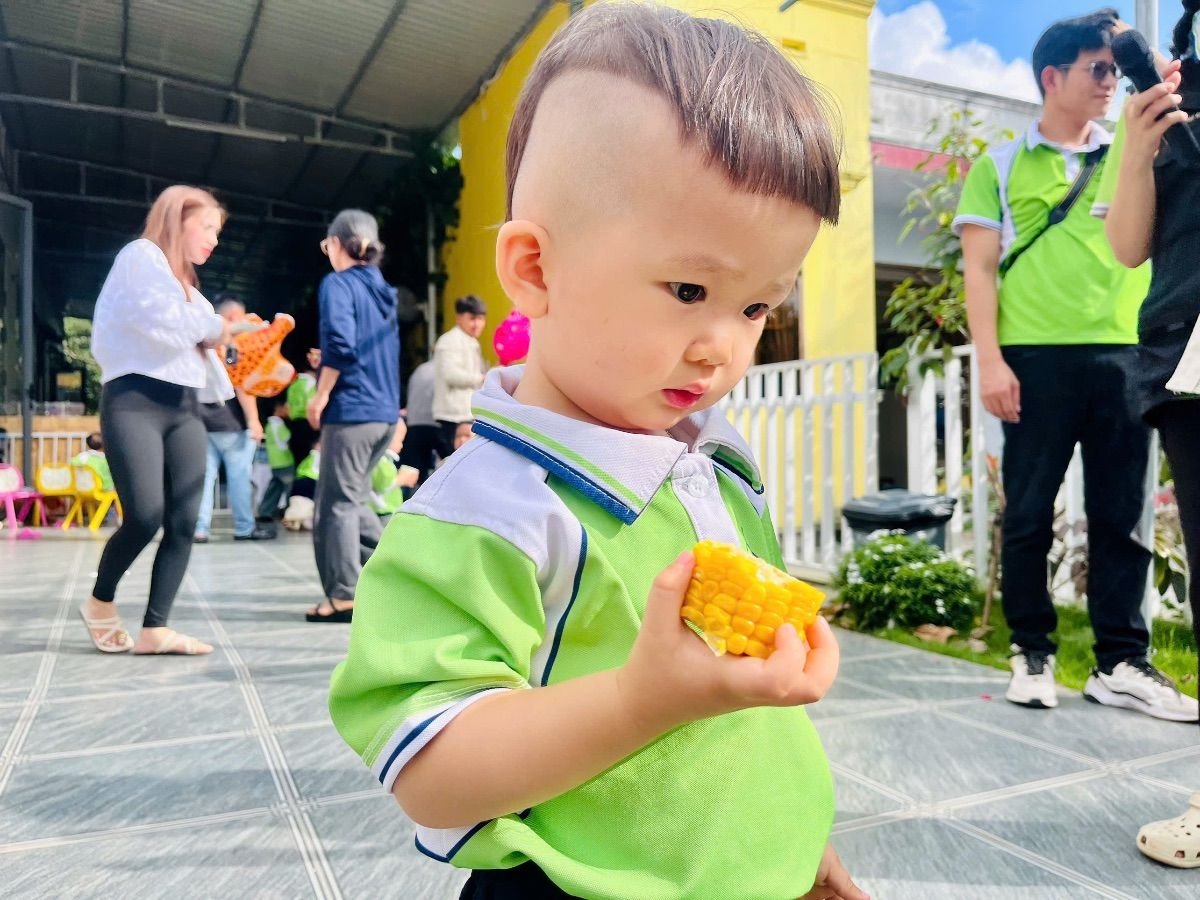 Ảnh hoạt động