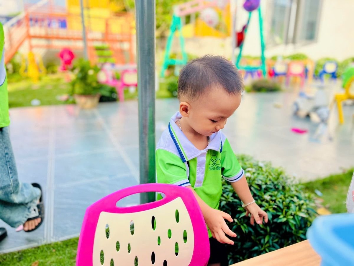 Ảnh hoạt động