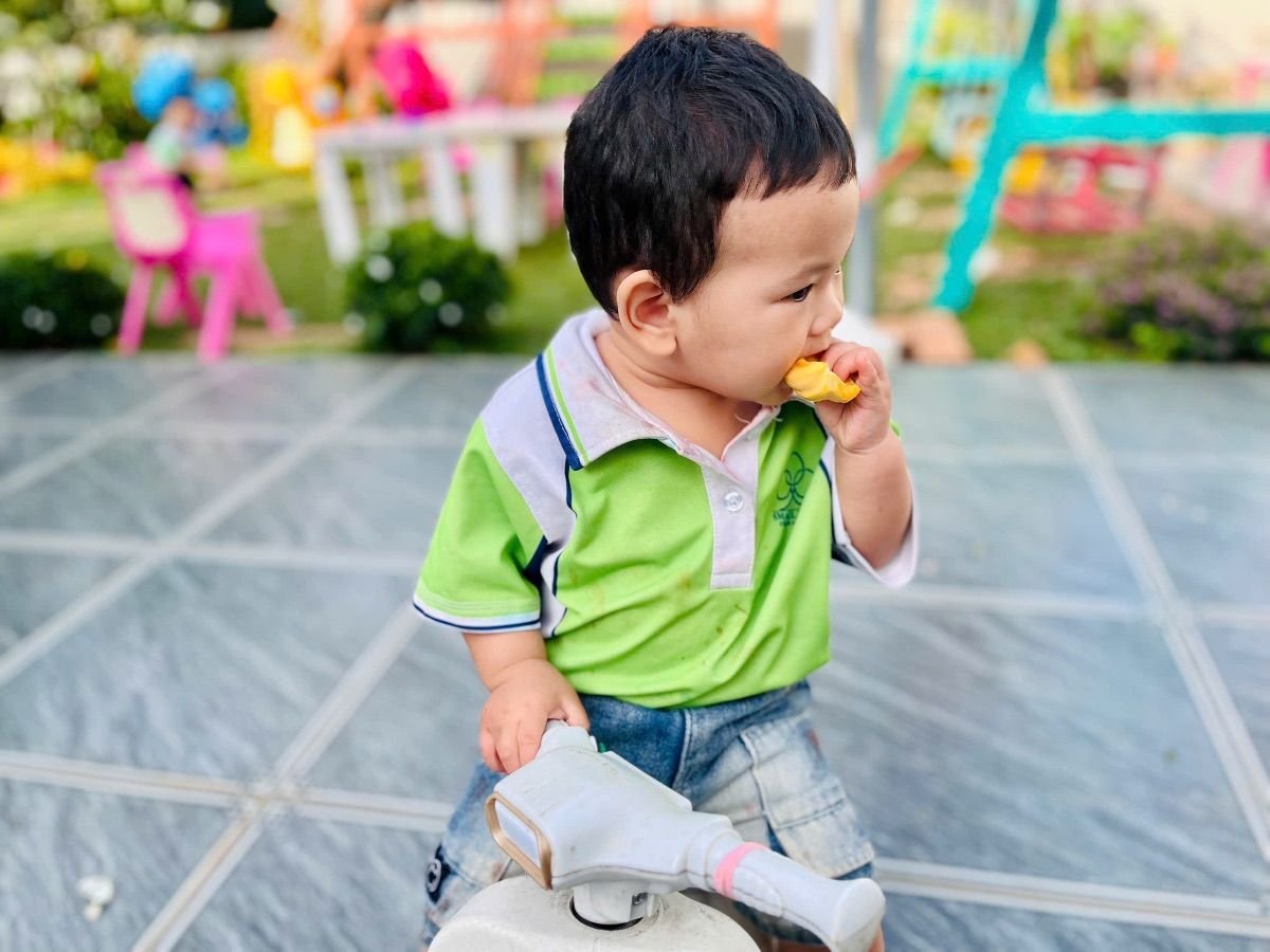 Ảnh hoạt động