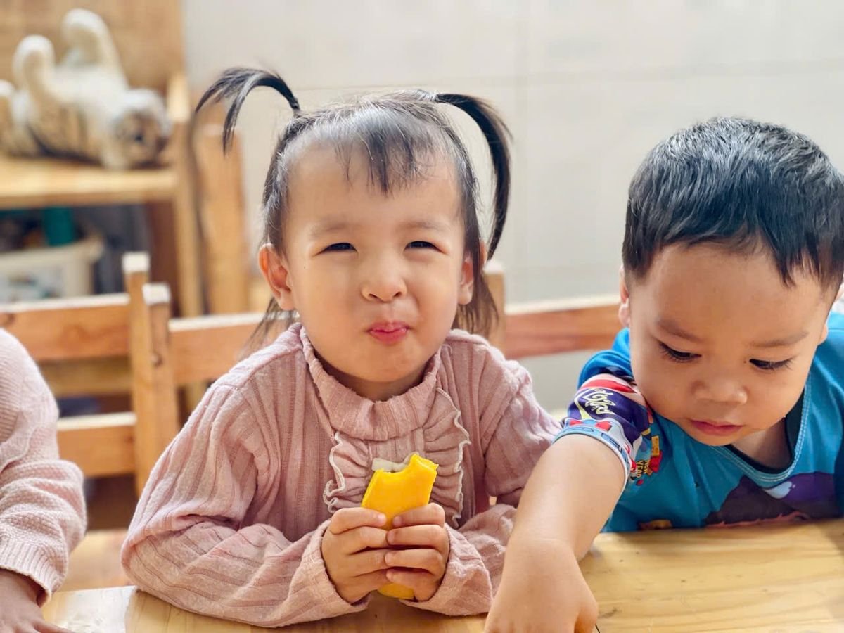 Ảnh hoạt động