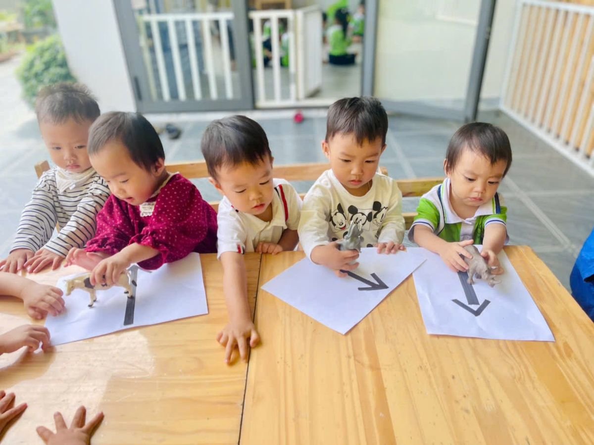 Ảnh hoạt động