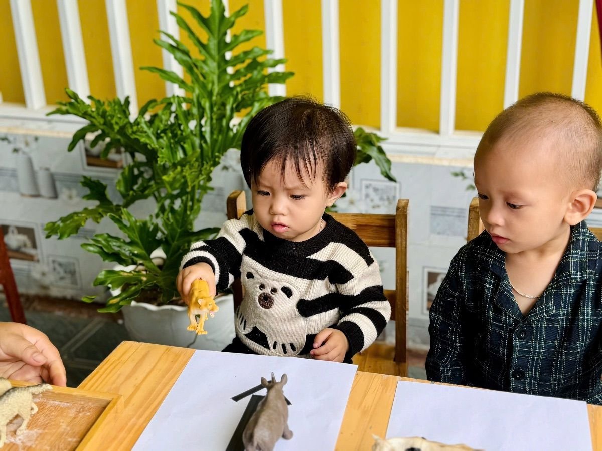 Ảnh hoạt động