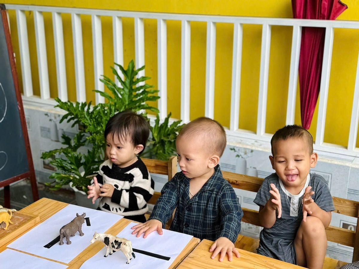 Ảnh hoạt động