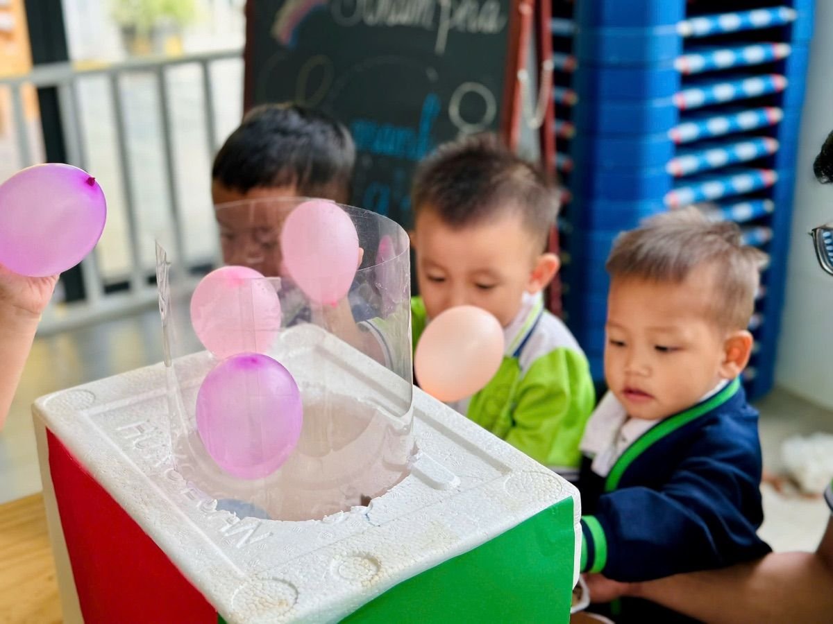 Ảnh hoạt động