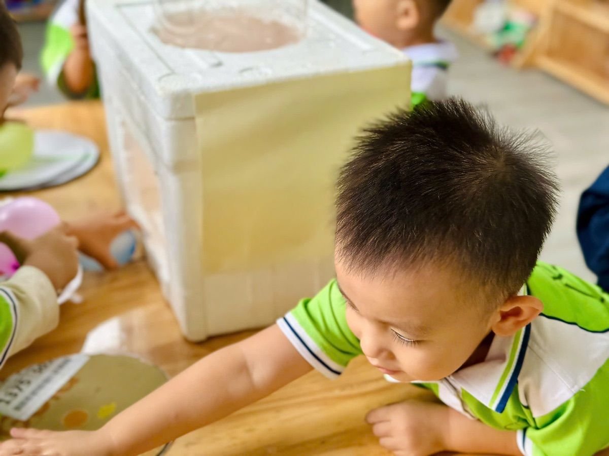 Ảnh hoạt động