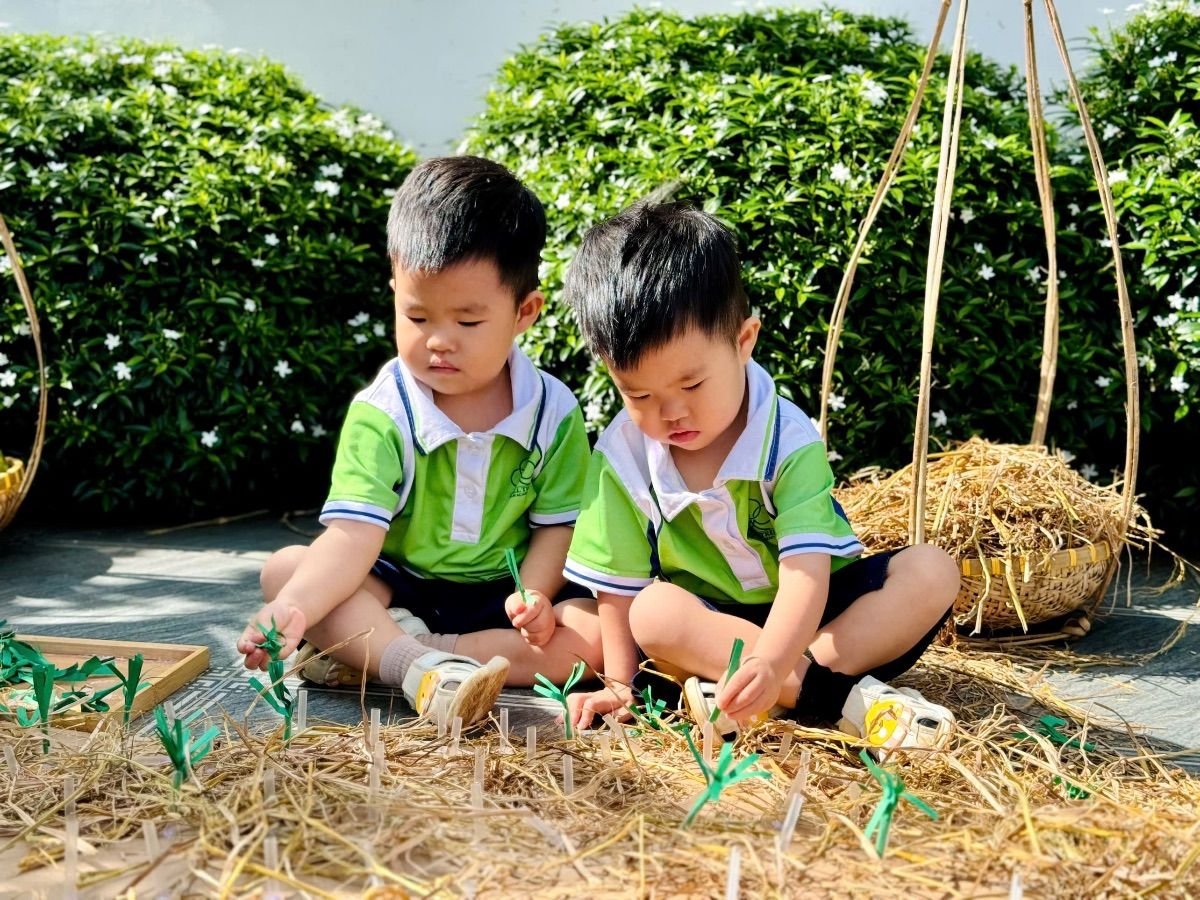 Ảnh hoạt động