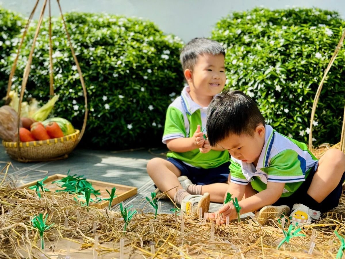 Ảnh hoạt động