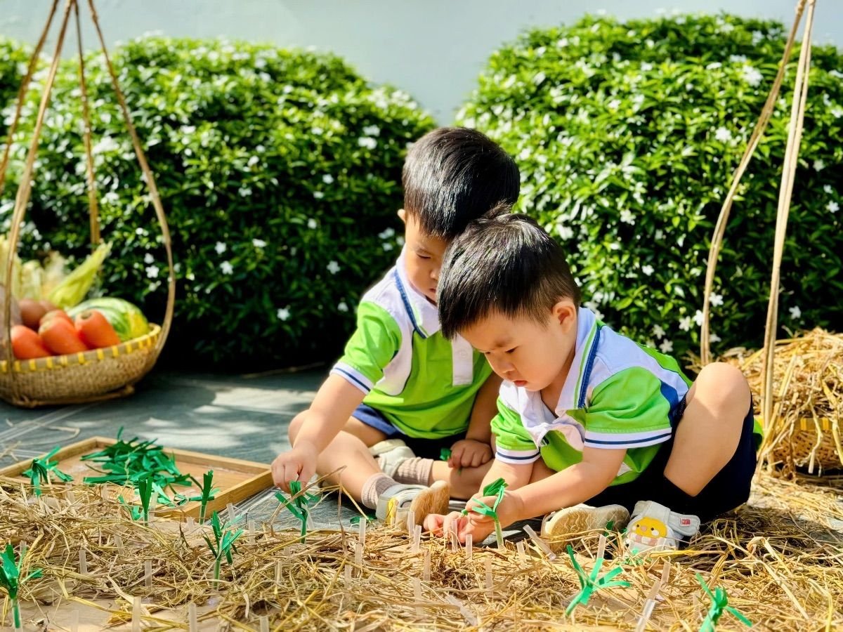 Ảnh hoạt động