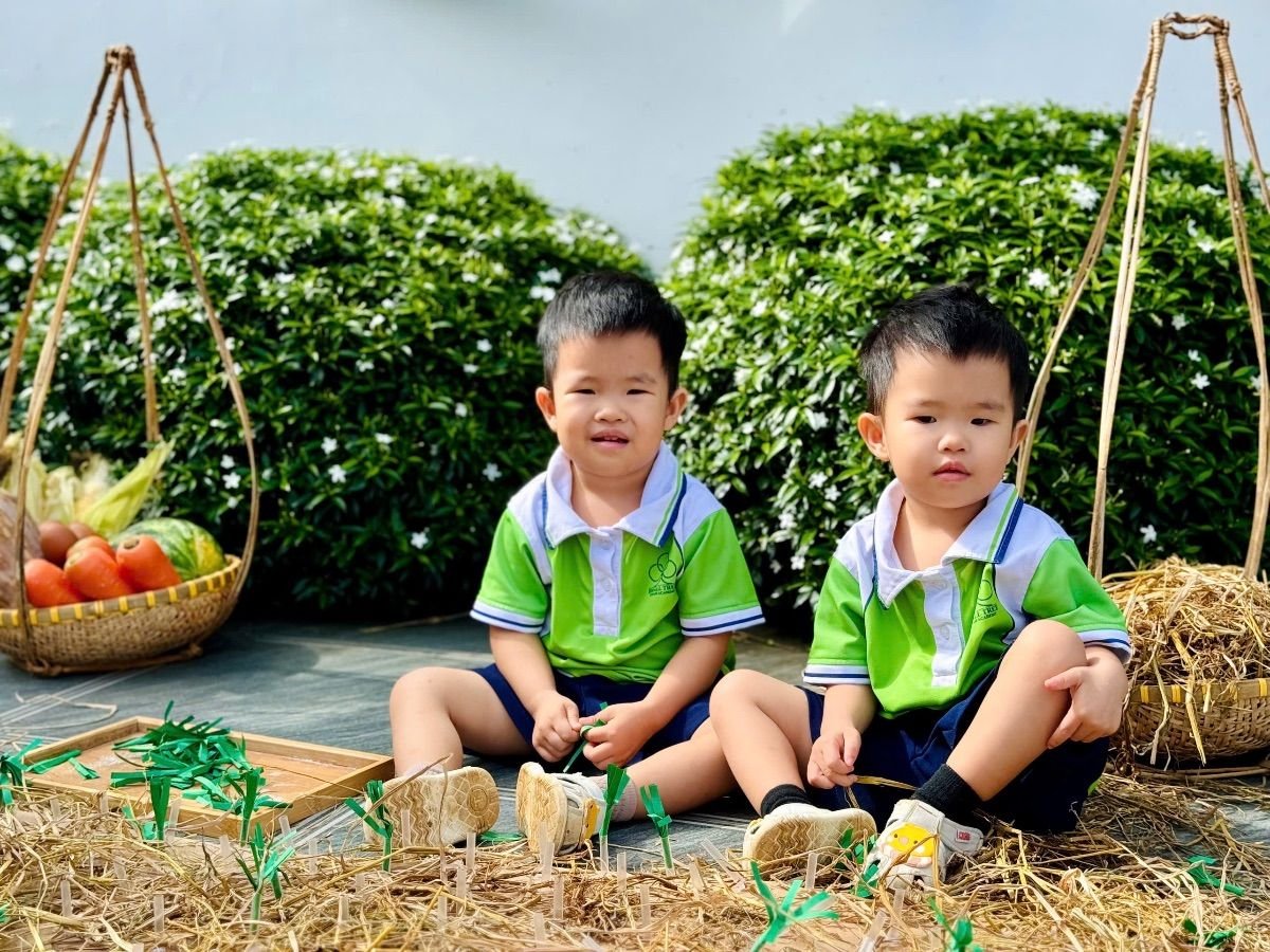 Ảnh hoạt động