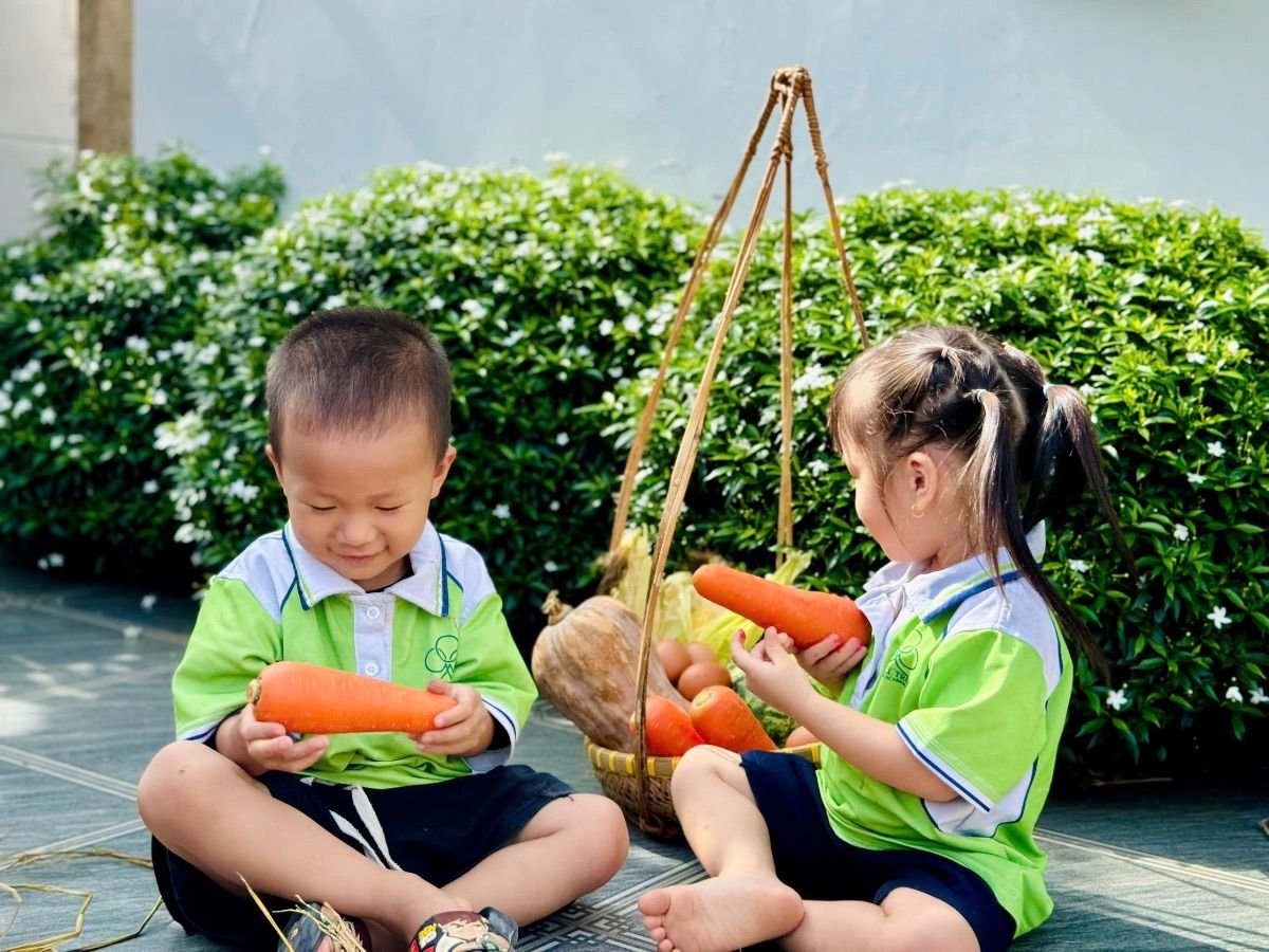 Ảnh hoạt động