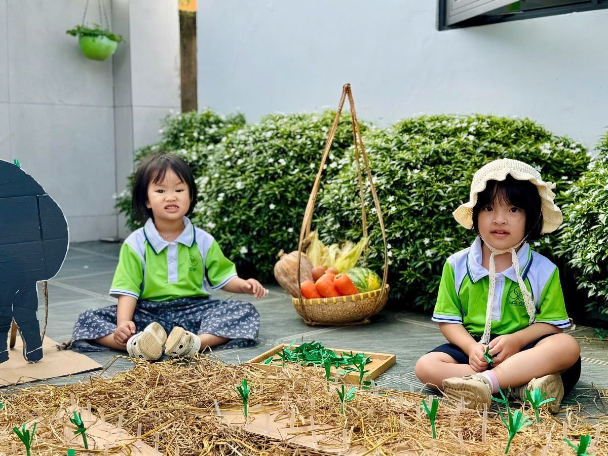 Ảnh hoạt động
