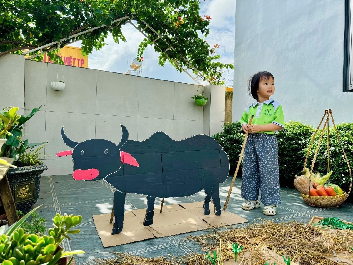 Ảnh hoạt động