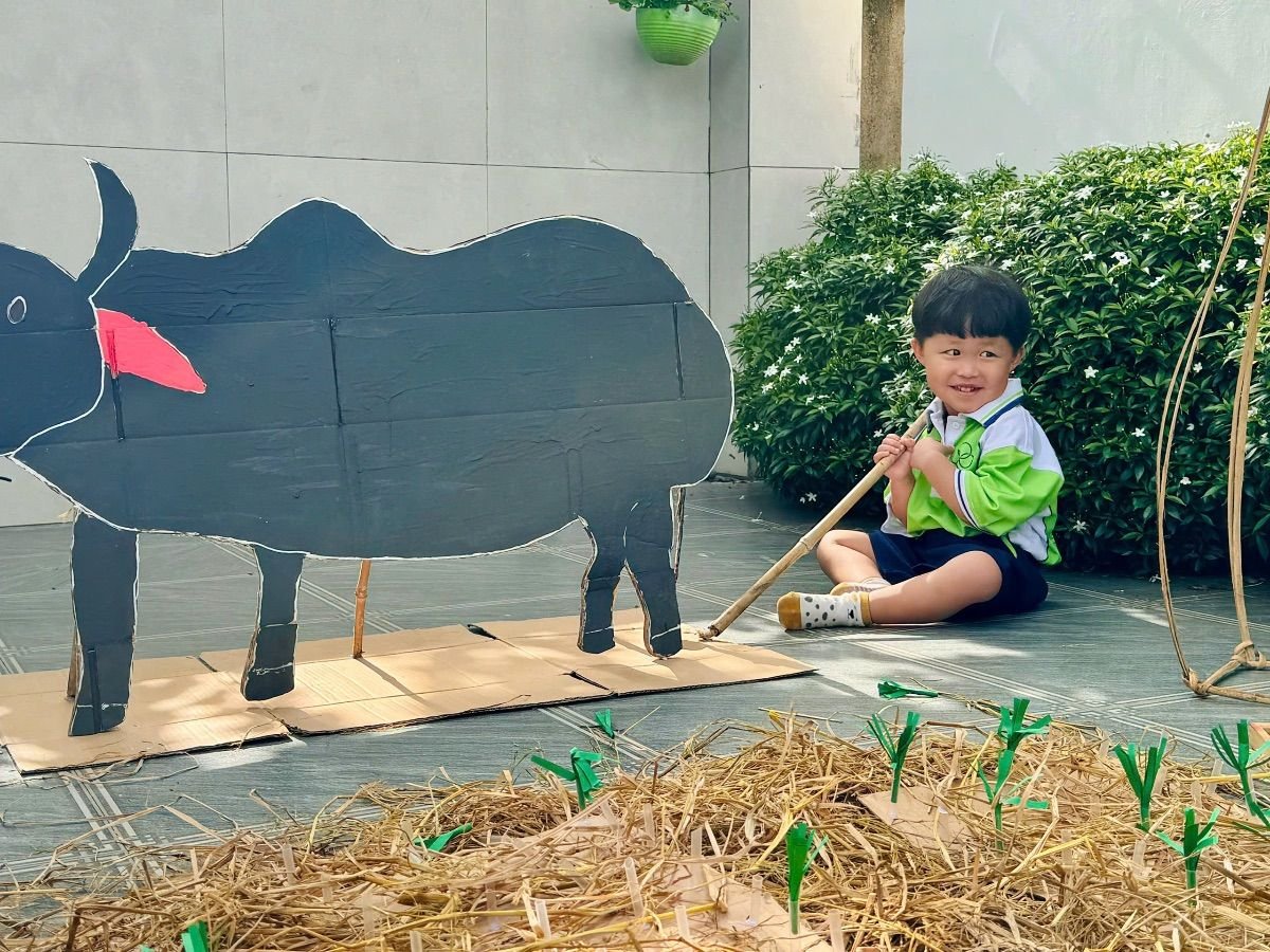 Ảnh hoạt động