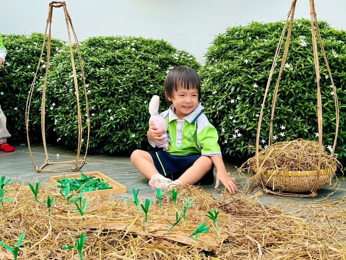 Ảnh hoạt động