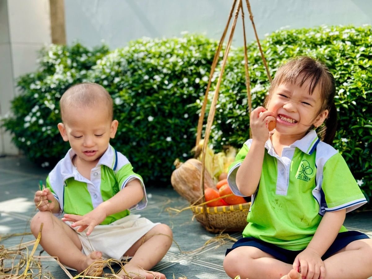 Ảnh hoạt động
