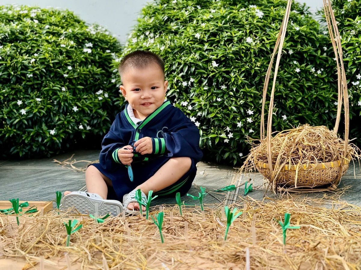 Ảnh hoạt động