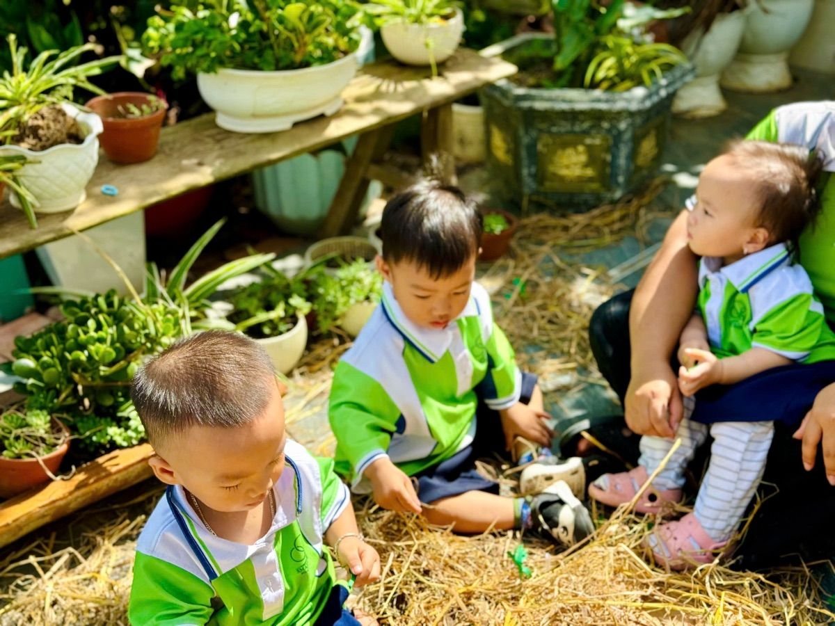 Ảnh hoạt động