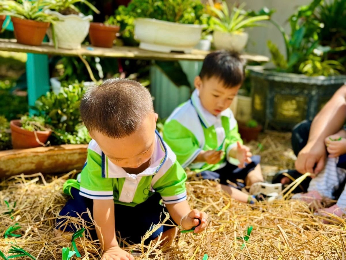Ảnh hoạt động
