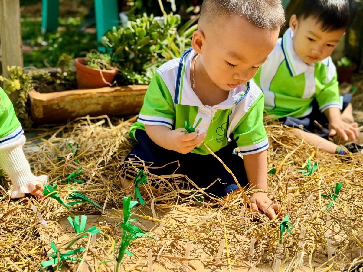 Ảnh hoạt động