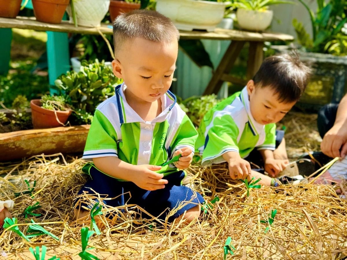 Ảnh hoạt động