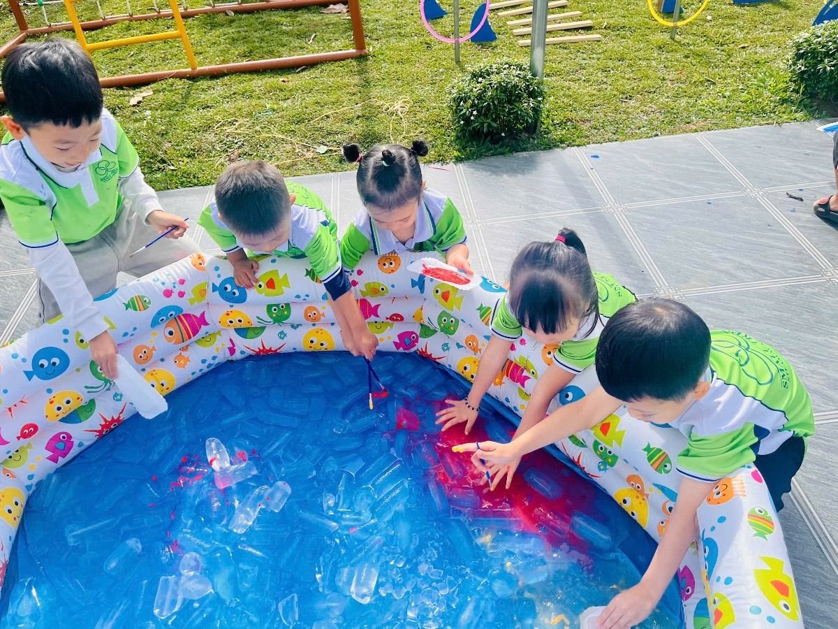 Ảnh hoạt động